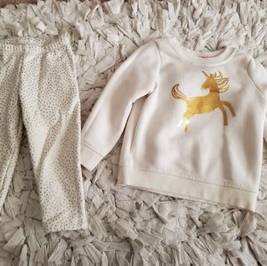 Toddler Girl's 18 mo. Cat & Jack outfit
